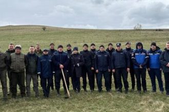 Puieti de padure plantati de jandarmi si angajati ai DS Covasna in zona localitatii Araci