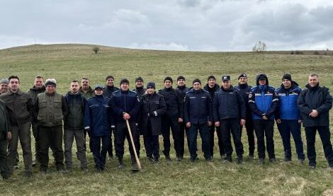 Puieti de padure plantati de jandarmi si angajati ai DS Covasna in zona localitatii Araci