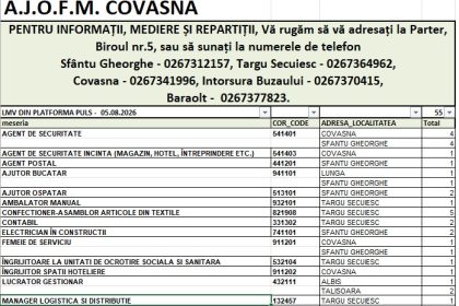 55 de oportunitati de angajare in judet