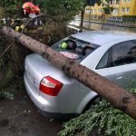 ISU Covasna 35 de misiuni in sprijinul comunitatii in ultimele zile 8 dintre acestea au fost misiuni de ndepartare a arborilor cazuti in Sfantul Gheorghe