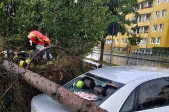 ISU Covasna 35 de misiuni in sprijinul comunitatii in ultimele zile 8 dintre acestea au fost misiuni de ndepartare a arborilor cazuti in Sfantul Gheorghe
