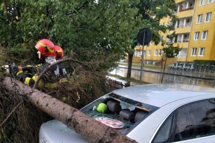 ISU Covasna 35 de misiuni in sprijinul comunitatii in ultimele zile 8 dintre acestea au fost misiuni de ndepartare a arborilor cazuti in Sfantul Gheorghe