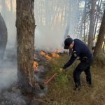 Incendiu de vegetaie stins cu ajutorul jandarmilor din Covasna n Snzieni