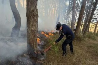 Incendiu de vegetaie stins cu ajutorul jandarmilor din Covasna n Snzieni