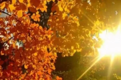 Echinocțiul de toamnă marchează începutul toamnei astronomice în această noapte