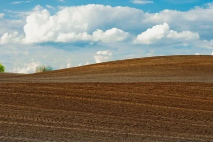 România, multe ferme, dar pământul se concentrează. Costuri agricole în creștere rapidă