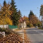 TEGA demarează colectarea deșeurilor vegetale de toamnă la Sfântu Gheorghe