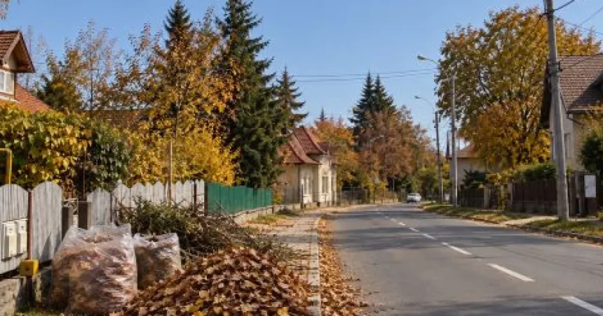 TEGA demarează colectarea deșeurilor vegetale de toamnă la Sfântu Gheorghe